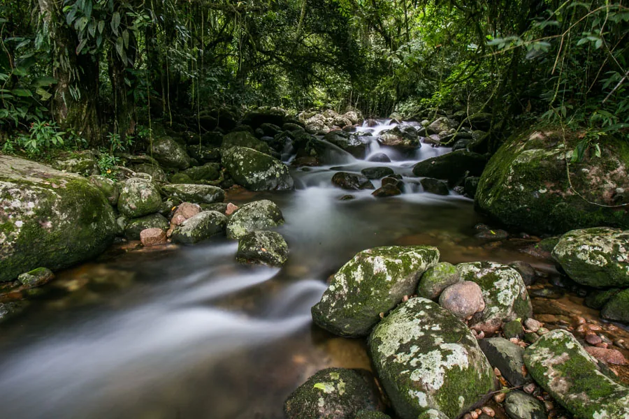 Rio em área natural preservada